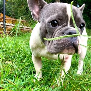 Meet your Posher, Tracy